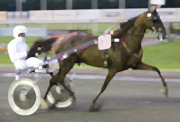 Prix d'Amerique